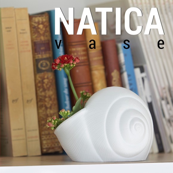 Natica Vase/Planter Decor for Weddings, Dinner Table, Party, Living Room - Picture 1 of 9